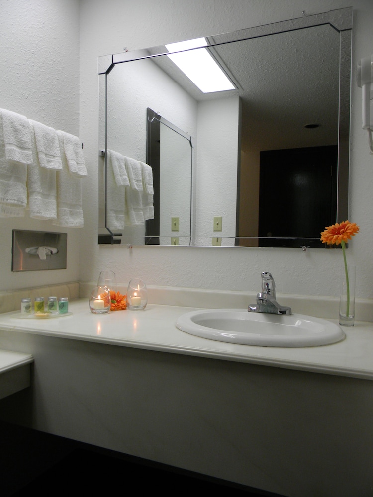 Garden Hotel and Conference Center - photo 10