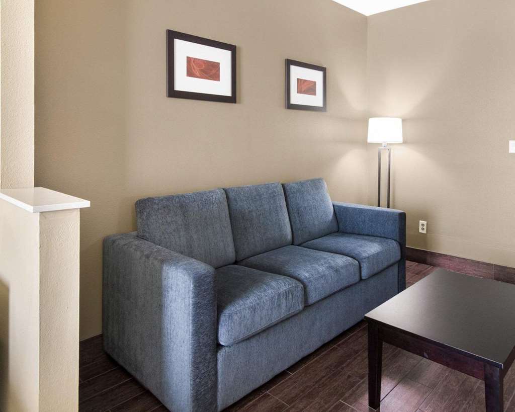Comfort Suites Odessa near University - photo 15