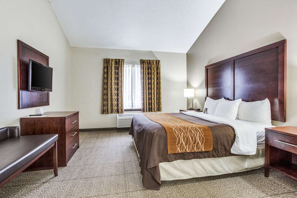 Comfort Inn & Suites Love Field Dallas Market Center - photo 15