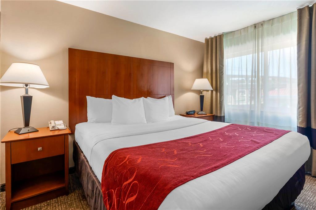 Comfort Suites North Dallas - photo 23
