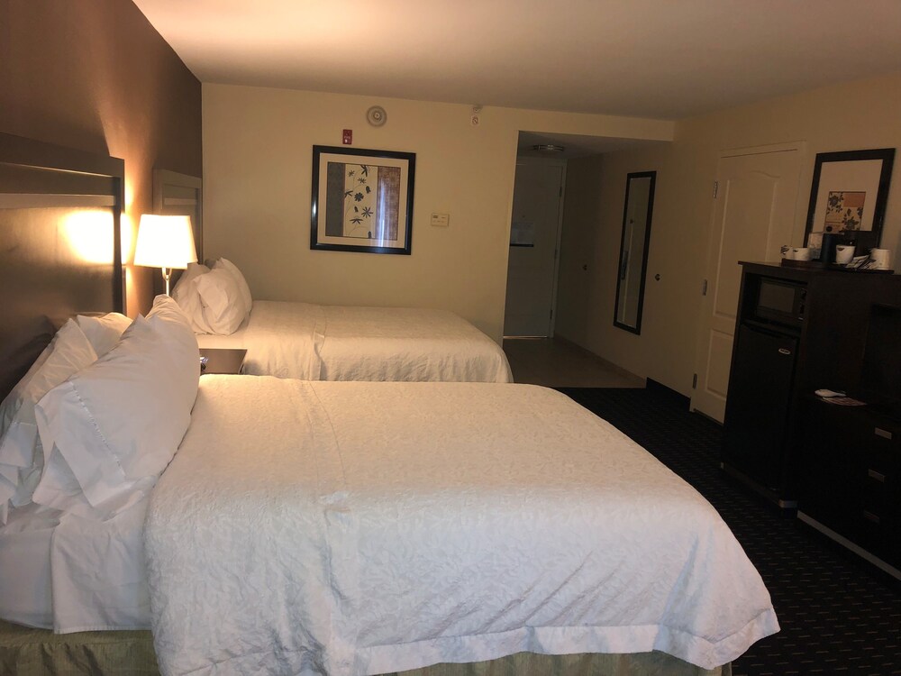 Hampton Inn Jericho Westbury - photo 15