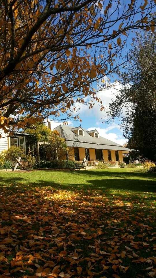 Eling Forest Winery in Sydney, Australia