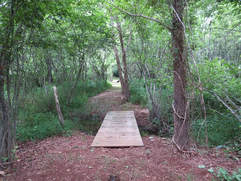 Southern Comfort Lakeside Cabin Resort - photo 55