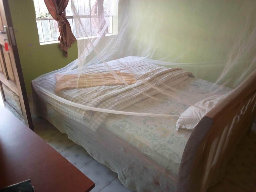 Green Guest House — Wote — photo 4