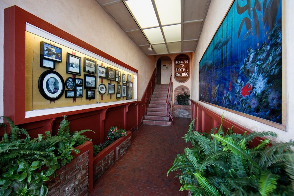 Hotel Mac Rae - photo 2
