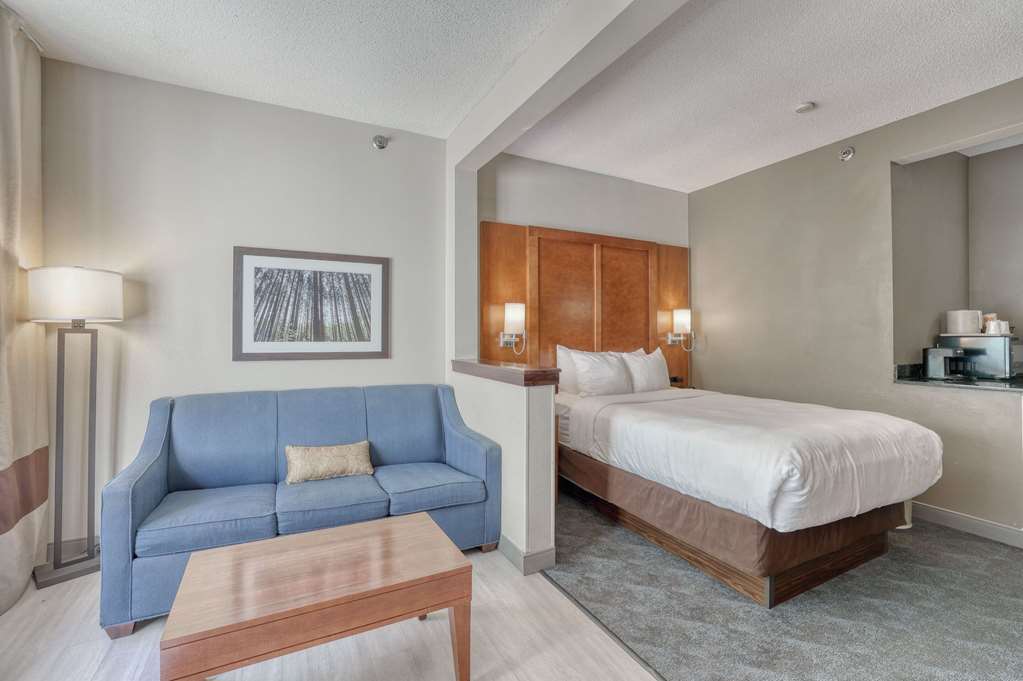 Comfort Suites Appleton Airport - photo 35