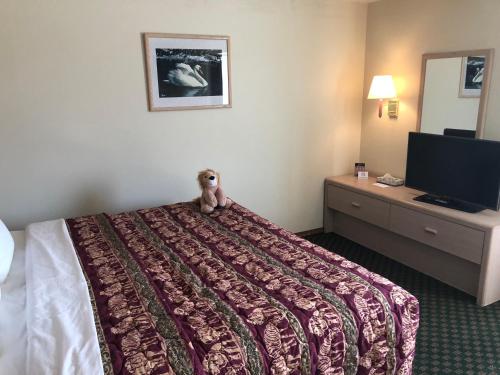 Kings Inn Cody - photo 18