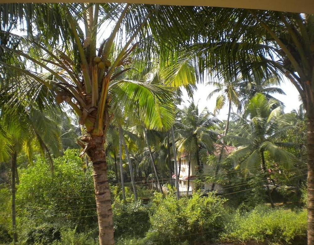 Room Maangta 328 Colva Goa — Colva