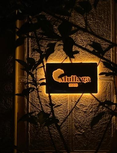 Mullaga Stays in Tirana, Albania