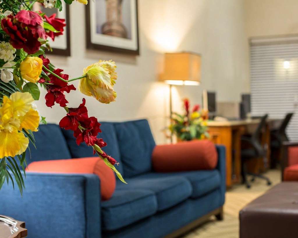 Comfort Suites Cumming Atlanta near Northside Hospital Forsyth - featured photo