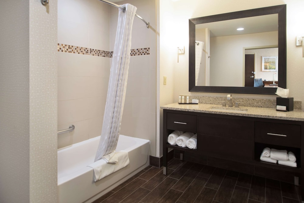 Embassy Suites by Hilton Fayetteville Fort Bragg - photo 14
