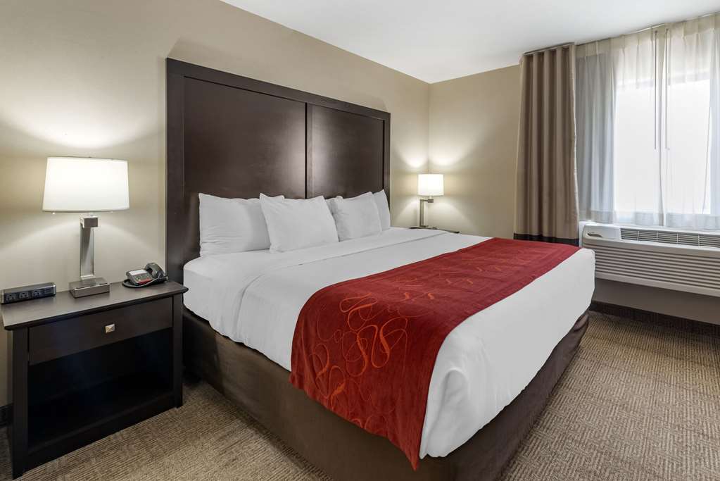 Comfort Suites Highlands Ranch Denver Tech Center Area - photo 4