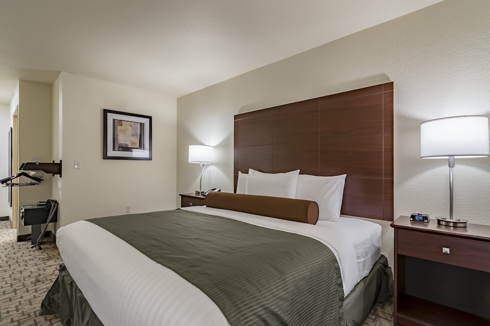 Cobblestone Hotel & Suites Greenville - photo 15