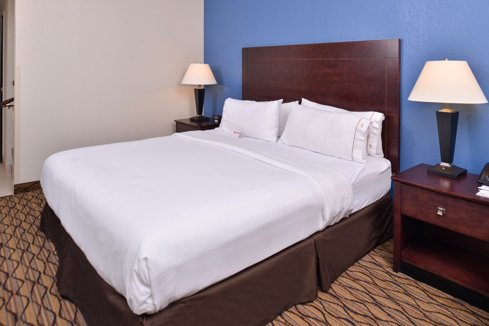 Holiday Inn Express & Suites Central Omaha by IHG - photo 7
