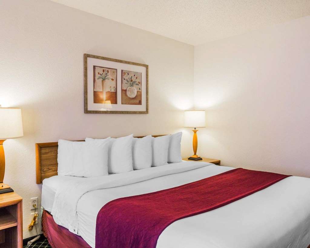 Quality Inn & Suites Golden Denver West - photo 15