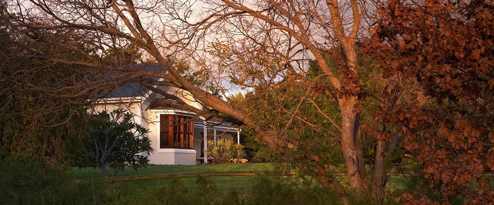 Olive Tree Country House — 4-Star Luxury Hotel in Hermanus, South Africa