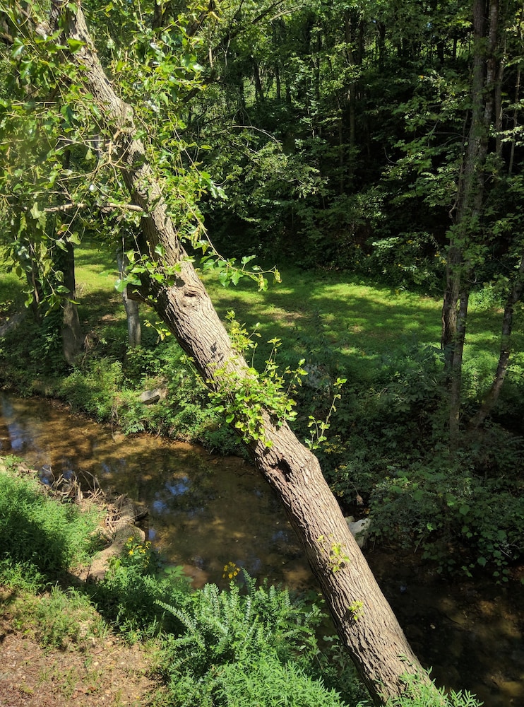 Sugar Creek Retreat - photo 46