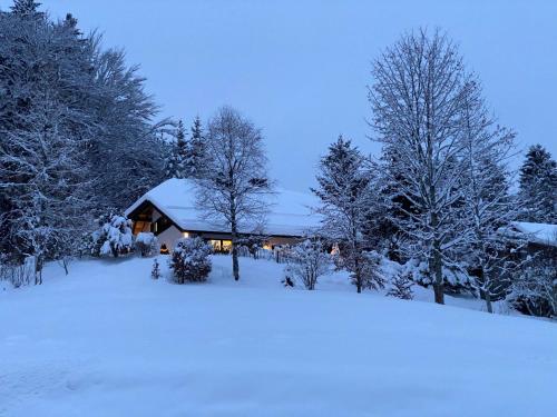 Amadeus Black Forest Mountain — 4-Star Luxury Hotel in Todtmoos, Germany