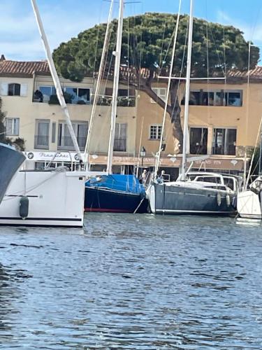 Port Grimaud Le Grand Pin in Grimaud, France
