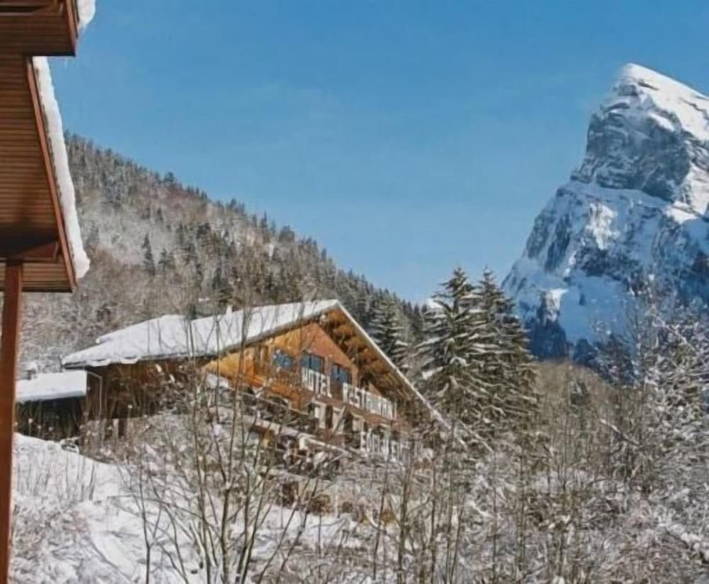 Hôtel Edelweiss — hotel in Samoens