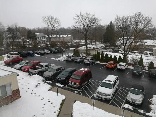President Inn & Suites - photo 15