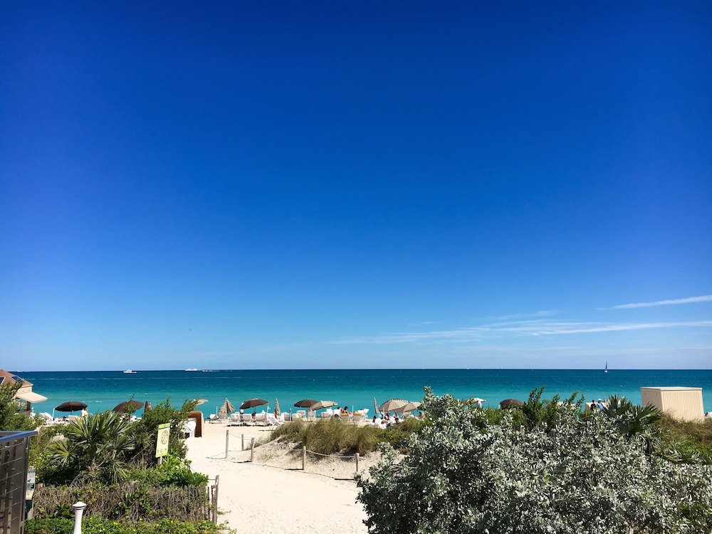 Carillon Miami Wellness Resort - photo 65