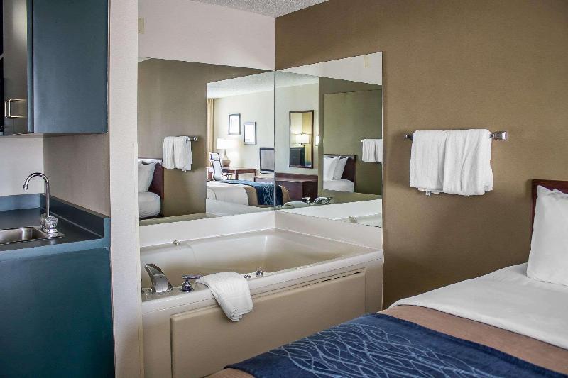 Comfort Inn - photo 21