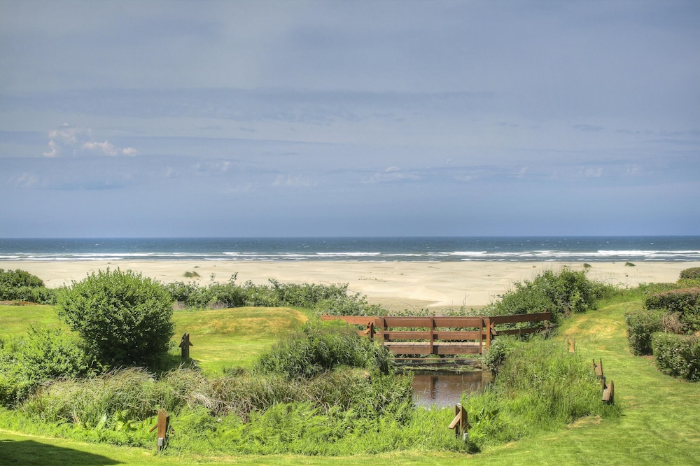Little Creek Cove Beachfront Resort - photo 7
