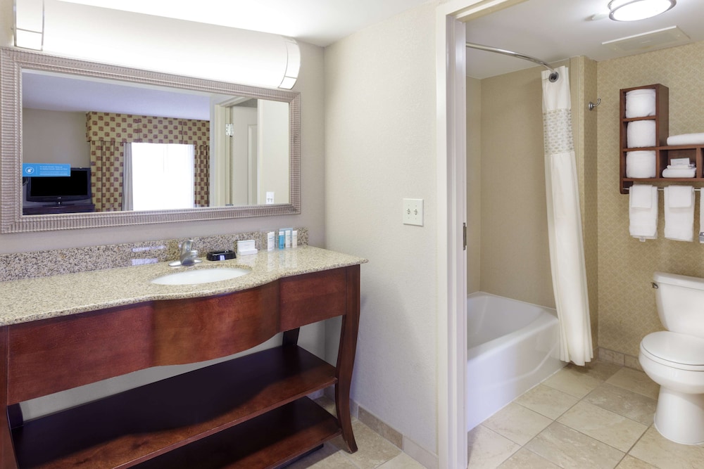 Hampton Inn Moss Point Pascagoula - photo 20