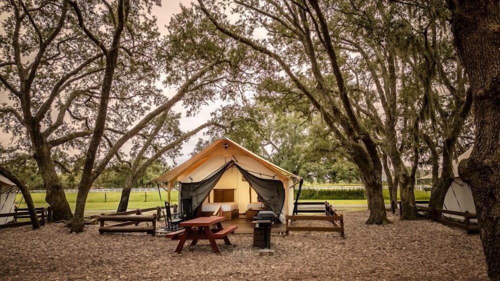 Westgate River Ranch Resort & Rodeo - photo 73