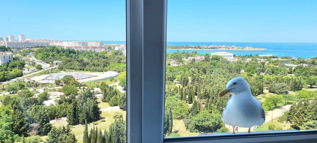 Park Pobedy Apartments 10729669 — Sevastopol