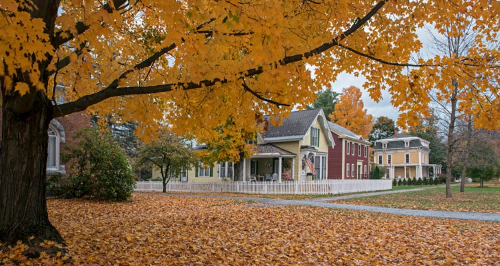 Brandon Inn - photo 95