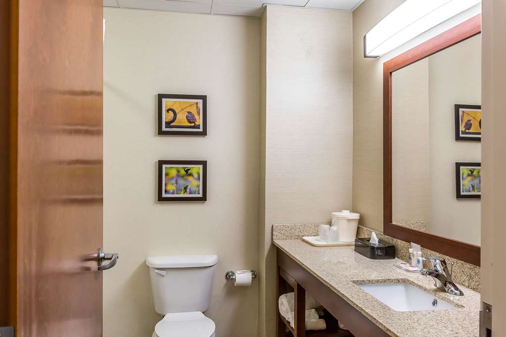 Comfort Inn Frederick Ballenger Creek - photo 19