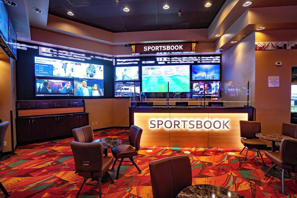 Ute Mountain Casino Hotel - photo 19