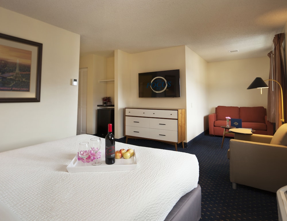 Hotel Focus Sfo - photo 11