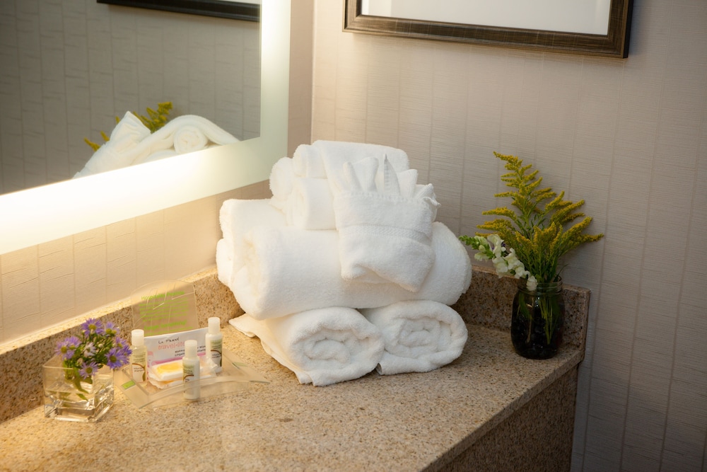 Holiday Inn Greenville by IHG - photo 28