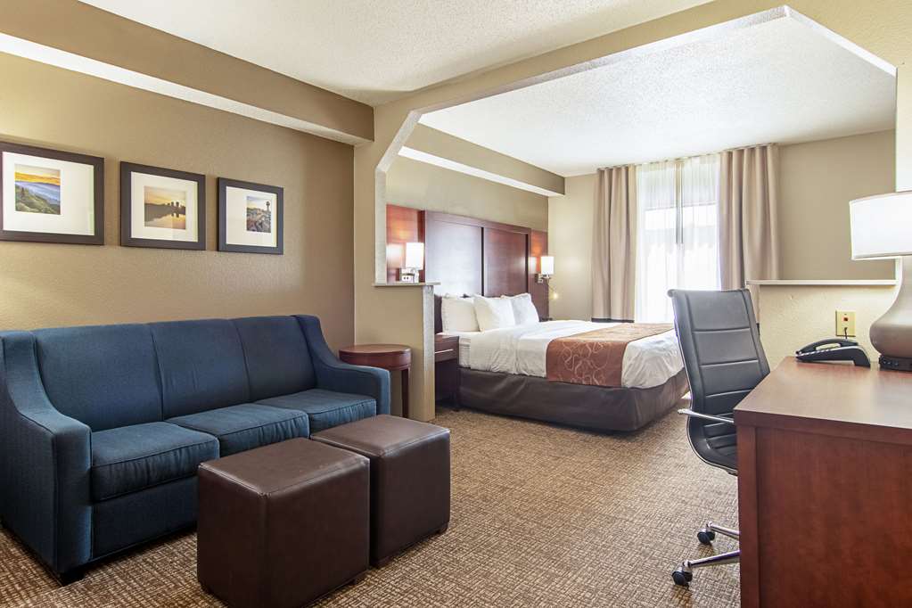 Comfort Suites Knoxville Airport - photo 15