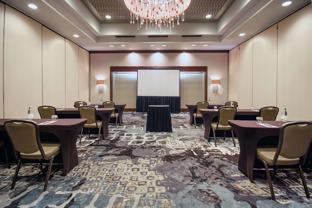 Embassy Suites Houston Downtown - photo 41