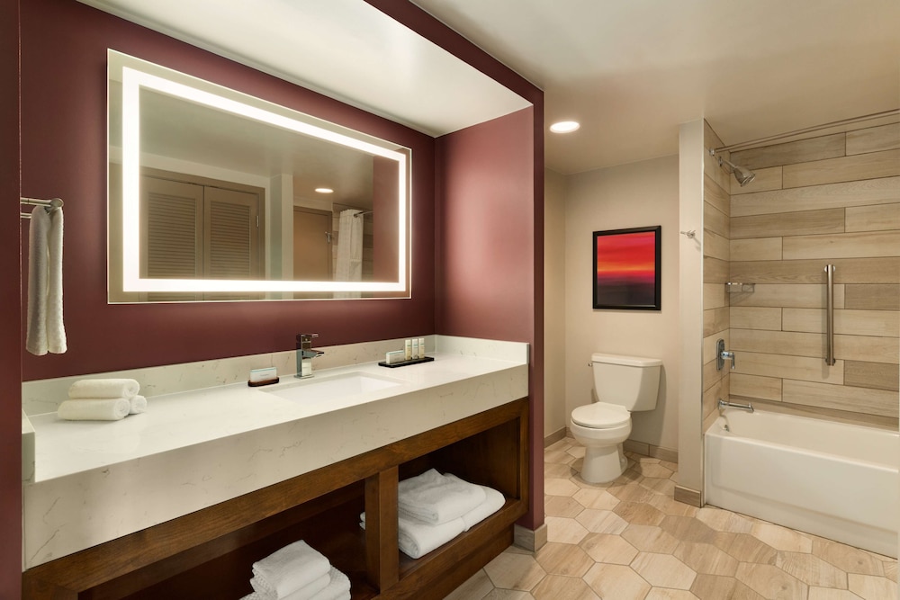 Embassy Suites by Hilton Phoenix Downtown North - photo 29