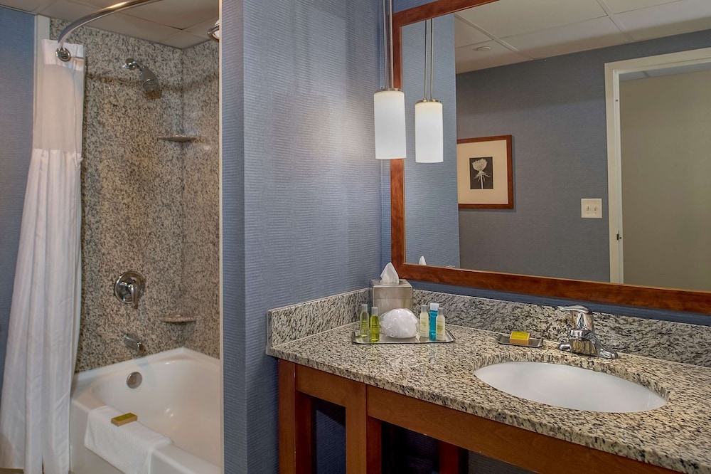 DoubleTree by Hilton St. Louis Westport - photo 40