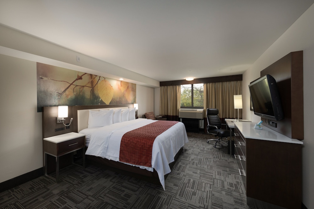 Holiday Inn Brookfield Milwaukee by IHG - photo 15