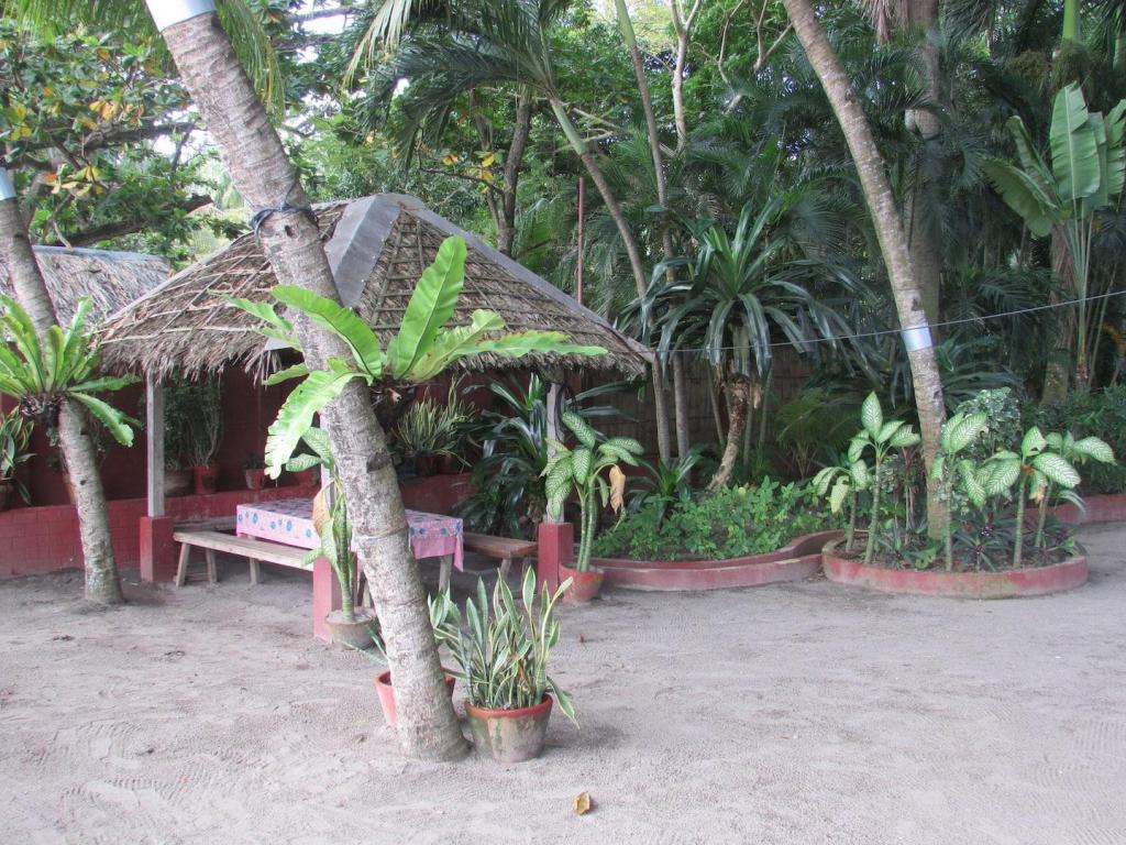 Newly Renovated Felipa Beach Bird Of Paradise in Dumaguete, Philippines