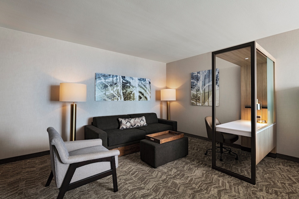 SpringHill Suites by Marriott Dallas Richardson University Area - photo 10