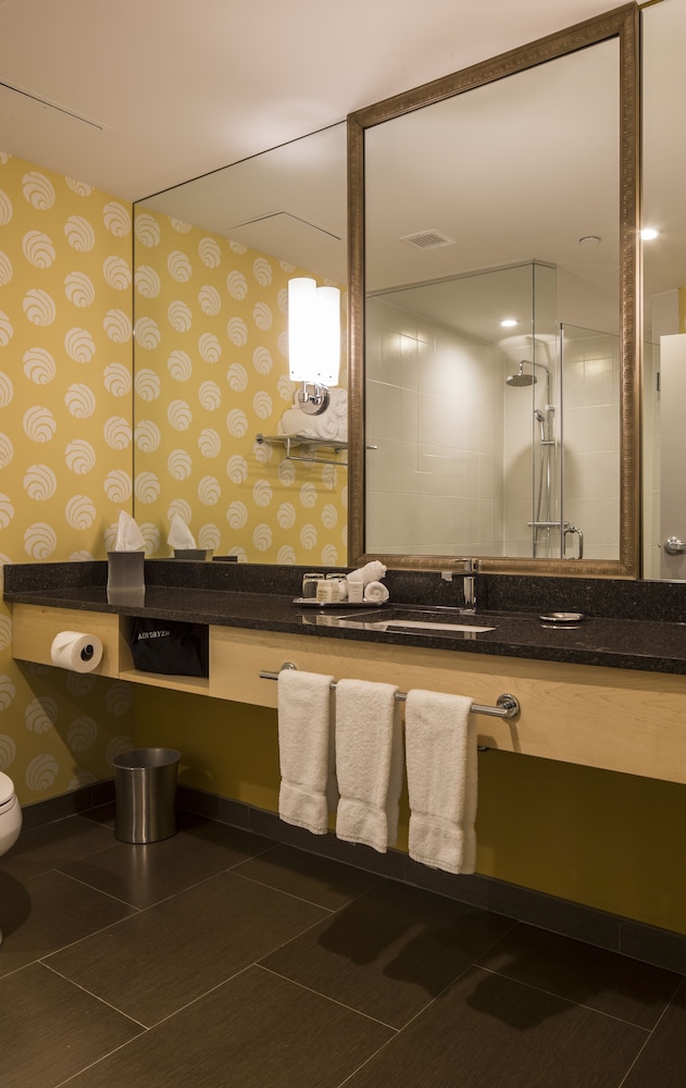 Hotel Indigo Pittsburgh East Liberty by IHG - photo 27
