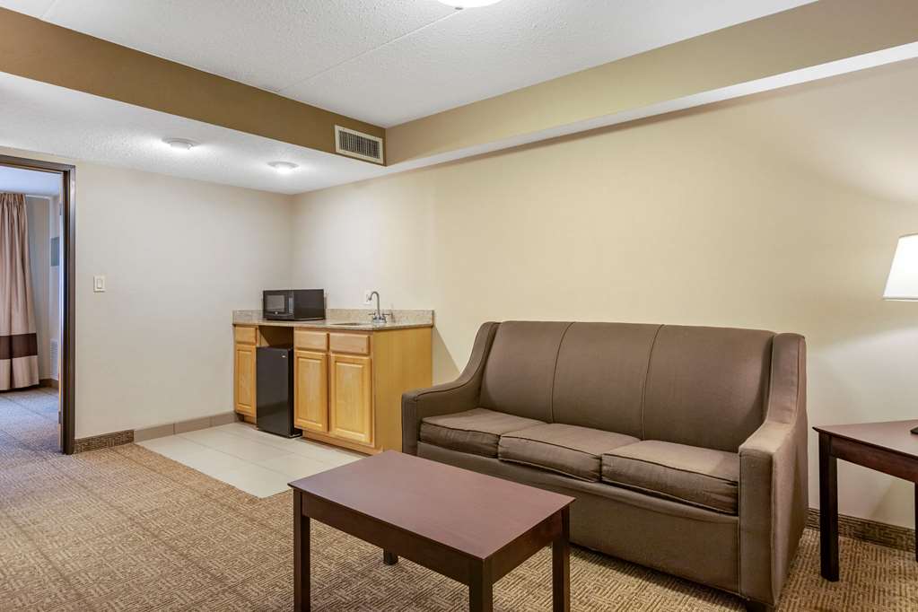Comfort Inn Lansing West - photo 31