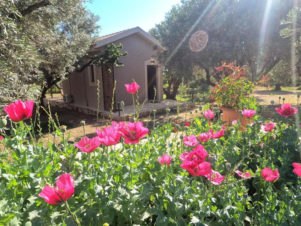 Olvia in Lixouri, Greece