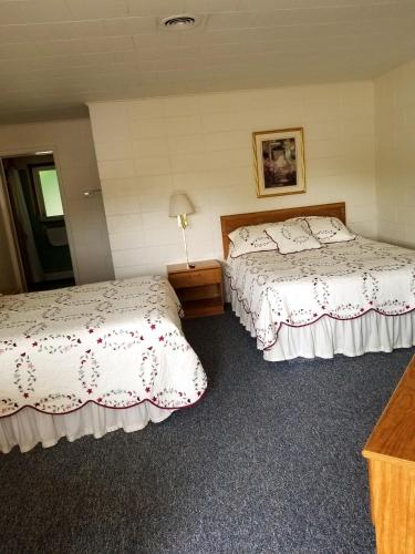 Belaire Motel - photo 25