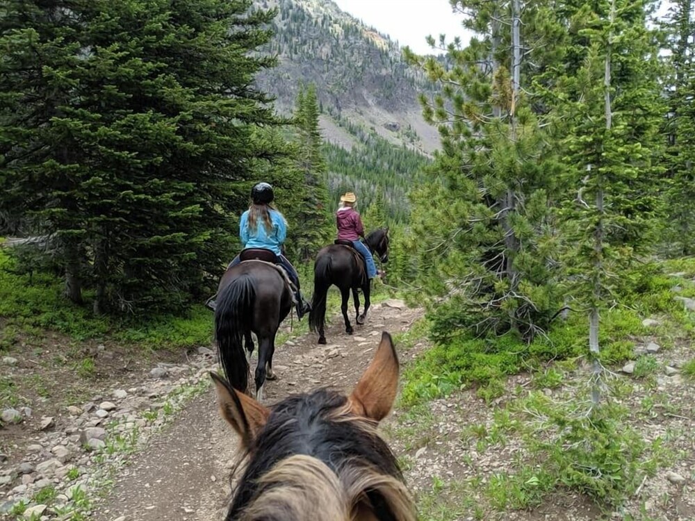 Fish Creek House Bed & Breakfast - photo 26