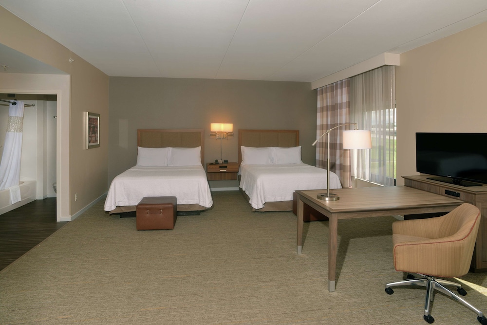 Hampton Inn Springfield Southeast - photo 15