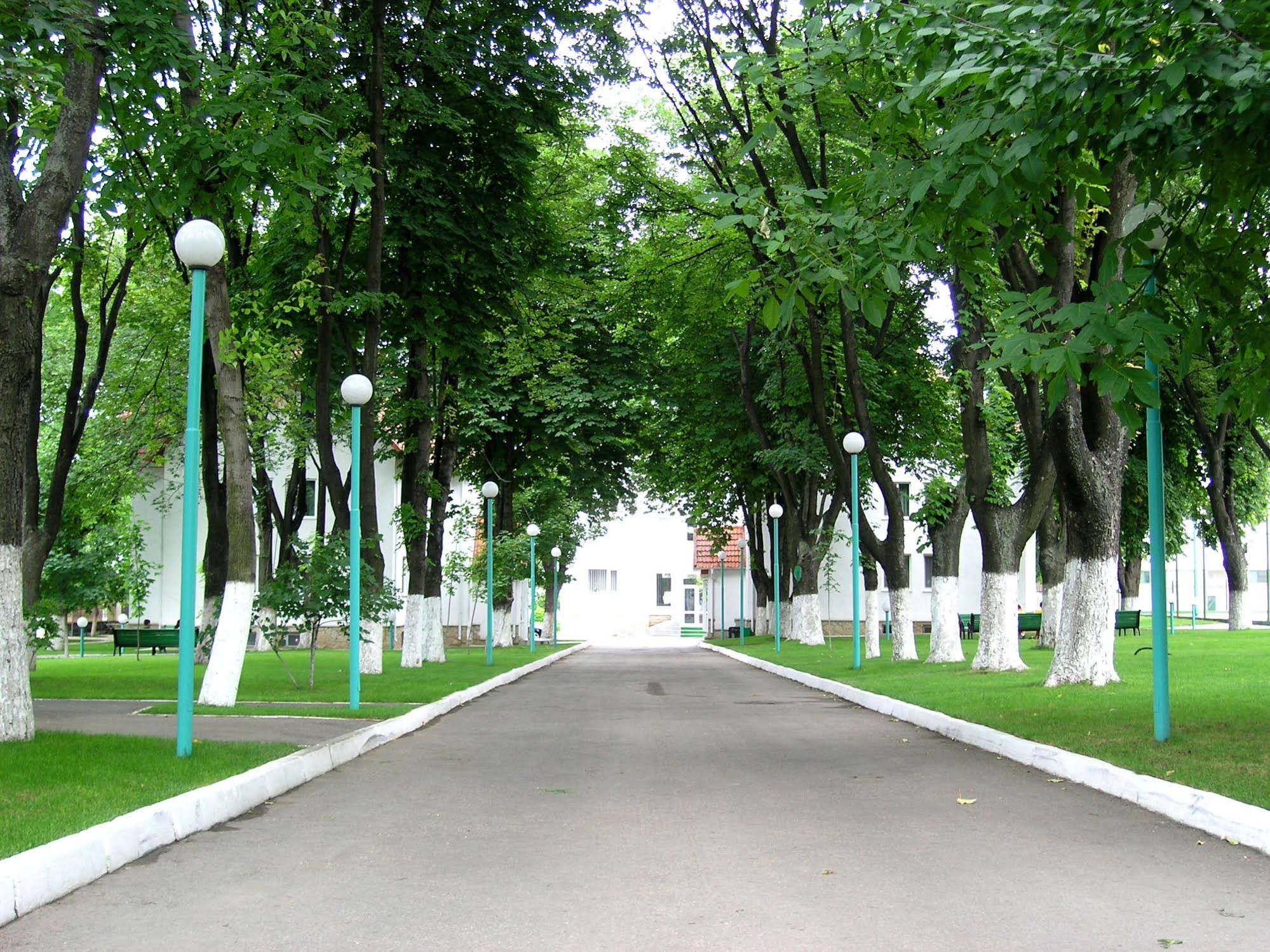 Zimbru Hotel — Chisinau — photo 3